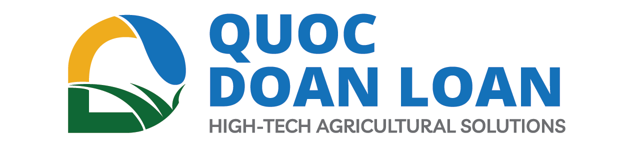 QUỐC ĐOÀN LOAN