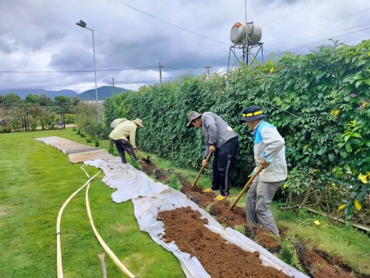 Chăm cà phê giờ đây nhẹ nhàng hơn nhiều với hệ thống tưới tự động – không còn cảnh lo thiếu nước hay phải tưới tay vất vả